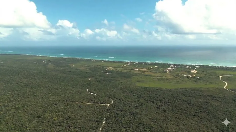 The Riviera Maya coastline